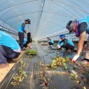 진천군청 이미지