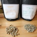 지리산 구찌네 이미지