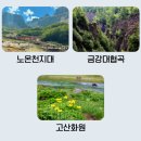 하늘쇼핑