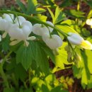 바위섬소도 이미지