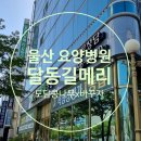 울산남구 달동길메리 재활병원 : 동해선 태화강역 방문