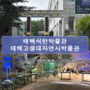 석탄1 | 태백석탄박물관&amp;고생대자연사박물관 후기 및 차이점