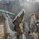 동서농장 이미지