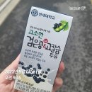 어더아사 목동점 | 9월 일상-1 : 오랜만에 집수니가 되어버린 삶 (feat. 마루, 야구장)