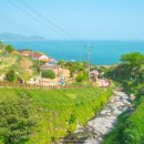 아라 게스트하우스 이미지