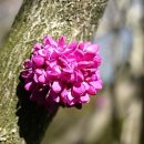 서석중학교 이미지