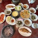 도니친구미나리 네이버블로그