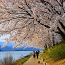 공지천 에디오피아 이미지