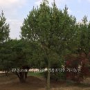 백송농장 이미지