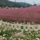 그담애