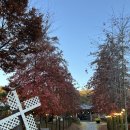 문수우체국(앞) 이미지