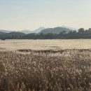 대명밧데리 이미지