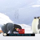 리더광고