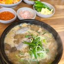 도솔순대 | 대전 정림동 도솔순대 솔직 방문 후기