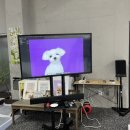 루체테스튜디오 이미지