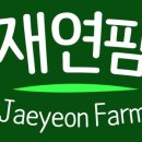 재연농원