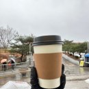 포항대흥초등학교 이미지