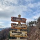 운용목장 | 강원도 홍천 알파카 월드 알파카 체험 목장
