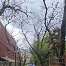 휴보 | 남천동 KBS부산 도모헌맛집 휴보 점심 특선 추천