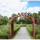 장자호수공원 장미원 이미지