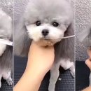 인사이트존