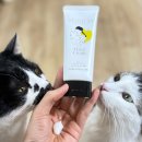 이차 | 고양이집사 필수품 추천 네코이차 캣닢핸드크림 사용 후기