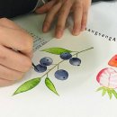 수채 일러스트 이미지