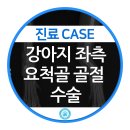 강동24시 SKY 동물의료센터 이미지
