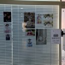 나무와 돌 | 일산 아기사진관 레몬나무사진관에서 한복 돌촬영한 후기