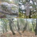 군위 너치레산(453.7m),새가산(339.2m) 영천 노고산(557.8m) 이미지