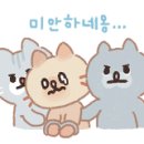 블링블링 셀프세차 이미지