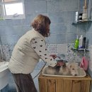 멍이댕이 이미지