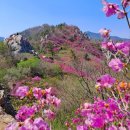 제580차 전남도 강진 주작산 암능 과 진달래산행 (4월 1일) 안내 이미지