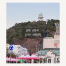 （주）정정당당 | 진해 군항제 실시간 개화상황 노래자랑 행사까지 여좌천 중원로터리 내수면생태공원 현재 벚꽃 상태