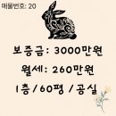 주식회사 세움 부동산 중개법인 이미지