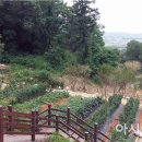 기산초교 이미지