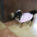 SBS 당구클럽 이미지