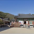 천은사 - 1455 | 천은사
