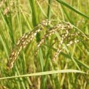 정근농장 이미지