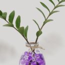 소일농장 이미지