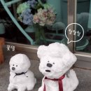 기명목장 이미지