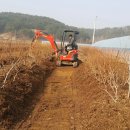 종대농장 이미지