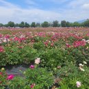 강나루체육공원 이미지