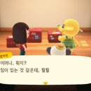 파라다이스힐링 이미지
