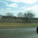 비육단지 이미지