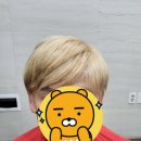 엄재경가발