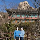 게미김치 | 남해 맛집 추천 남해전복물회, 남해유배문학관, 남해 다랭이마을 카페 톨, 쏠비치 남해 비스트로게미