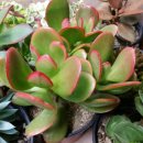 이병학농장 이미지