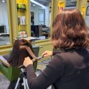 김송정머리터 이미지