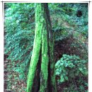 학림농장 이미지